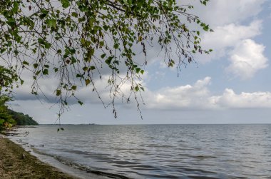 Ağaçları ve yumuşak dalgaları olan kayalık deniz kıyıları dramatik bulutlu gökyüzü altında yaz manzarası.