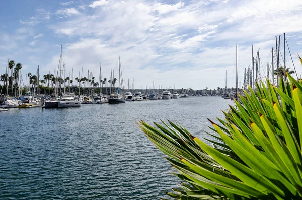 Yelkenliler Los Angeles 'taki Marina del Rey Limanı' na yanaştı Mavi Gök altında dramatik bulutlarla.