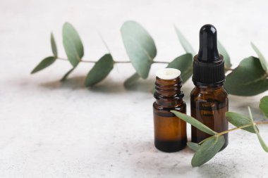Temel yağlı doğal spa konsepti, açık gri arka planda okaliptüs yaprakları. Organik kozmetik ürünleri, sağlık, güzellik tedavisi. Kapat, boşluğu kopyala
