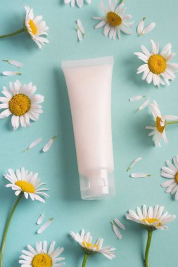 Pastel yeşil arka planda papatya çiçekli kozmetik kremi. Güzellik tedavisi konsepti, doğal organik kozmetik. Dikey, üstten, düz