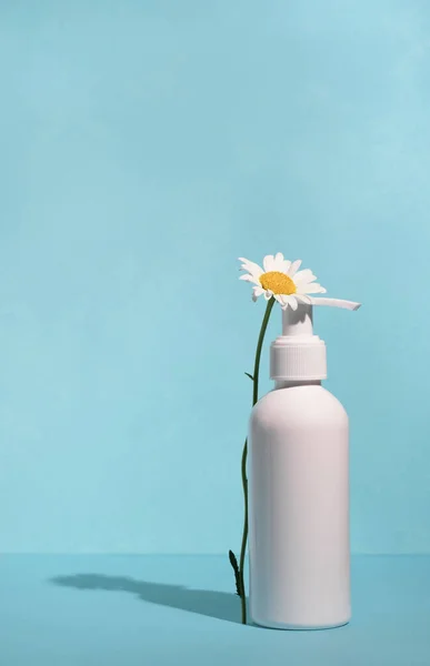 Cosmetische Fles Met Kamille Bloem Felblauwe Achtergrond Schoonheidsbehandeling Concept Natuurlijke — Stockfoto