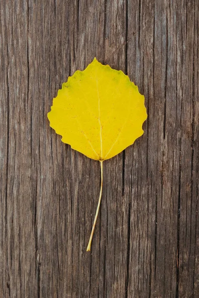 Jesienny Żółty Liść Zabytkowym Drewnianym Tle Jesienny Sezon Widok Góry — Zdjęcie stockowe