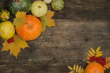 Metinler, balkabakları ve sonbahar yaprakları için sonbahar arka planı fotokopi alanı olan eski bir ahşap zemin üzerinde. Şükran Günü, Cadılar Bayramı