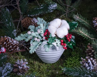 Noel dekorasyonu - doğal yosun arka planında böğürtlen, pamuk ya da yaprakların kompozisyonu, ev dekorasyonu fikri
