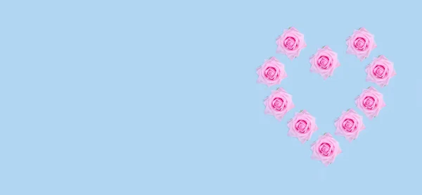 Hintergrund Zum Valentinstag Rosa Zarte Rosen Herzform Auf Pastellblauem Hintergrund — Stockfoto