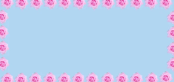 情人节的横幅背景 带复制空间的淡蓝色底色粉红精致玫瑰框架 — 图库照片