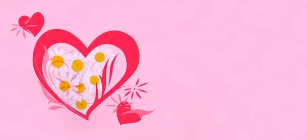 Valentýn Pozdrav Karty Pozadí Banner Jemné Květiny Sedmikrásky Srdci Růžovém — Stock fotografie