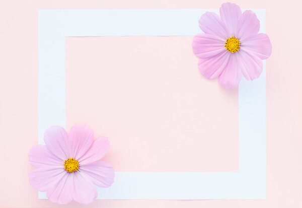 Greeting card background, delicate lilac flowers on pink background with white frame with copy space with selective focus