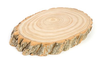 Kesik bir ağaç gövdesinin kesiti. Dalgalı desenli çatlaklar ve halkalar ormandan kesilmiş.