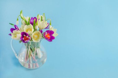 Bahar tatili için tebrik kartı, mavi arka planda güzel bir çiçek ve fotokopi alanı.