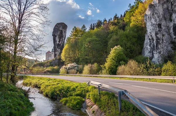 Rock zwany Hercules Club w Ojcowskim Parku Narodowym — Zdjęcie stockowe