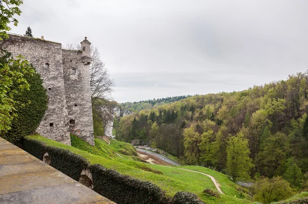 Dalen av floden Pradnik i Pieskowa Skala — Stockfoto