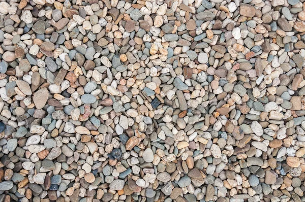Background made of multicolored pebbles — Stock Photo, Image