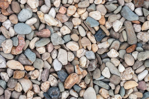Background made of multicolored pebbles — Stock Photo, Image