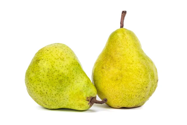 Two fresh pears on white background — Stock Photo, Image