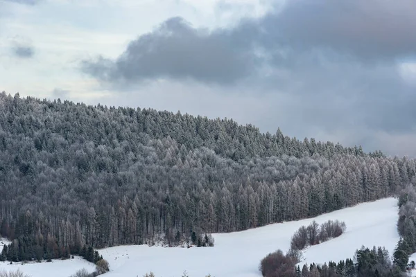波兰Krynica Zdroj附近Beskid Sadecki山区冻结森林冬季景观 — 图库照片