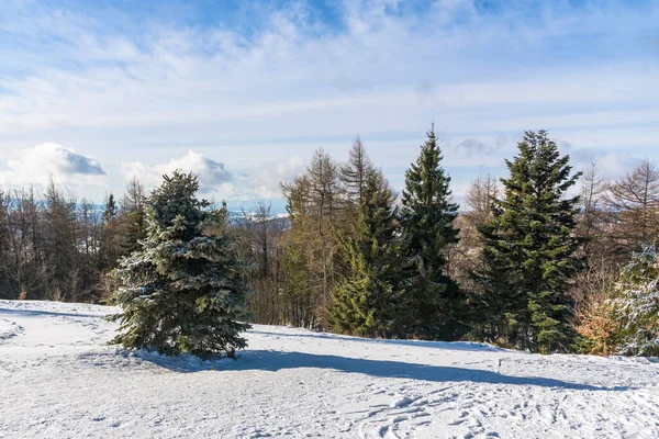 别斯基萨达基森林冬季景观 背景为波兰塔特拉山 — 图库照片