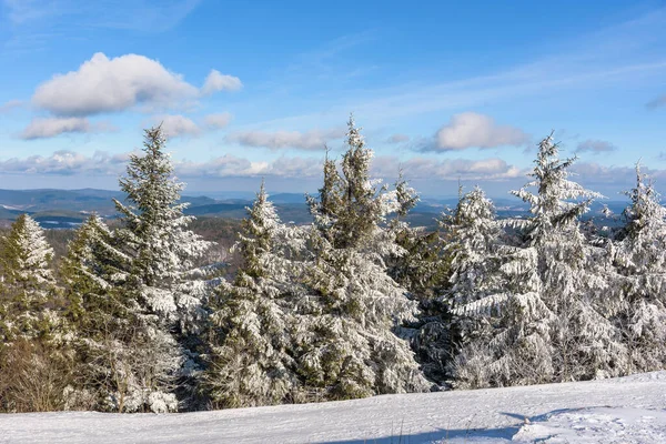 波兰Beski Sadecki山脉覆盖着积雪的树木 作为森林冬季景观 — 图库照片