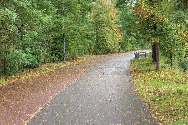 Parque Callejón Con Carril Bici Después Lluvia Día Otoño — Foto de Stock