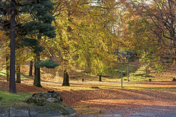 Panchina Parco Colorato Autunno Soleggiato — Foto Stock