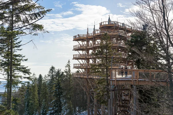 Krynica Zdroj Poland January 2020 Tourists Visit Treetop Observation Tower — 图库照片