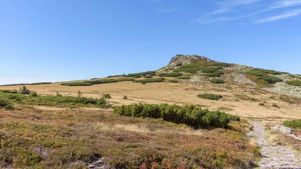 Vista Estiva Della Cima Rocciosa Del Labski Szczyt Polacco Montagne — Foto Stock