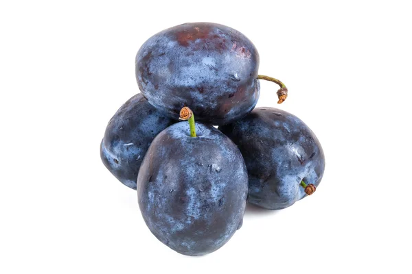 Prunes fraîches isolées sur fond blanc — Photo