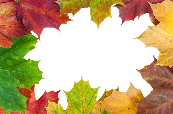 Frame made of autumn maple leaves — Stock Photo, Image