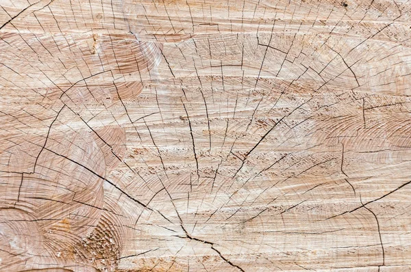 Tekstury pniu drzewa lub tła — Zdjęcie stockowe