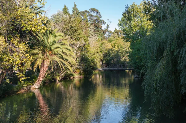 湖や公園の木橋 — ストック写真