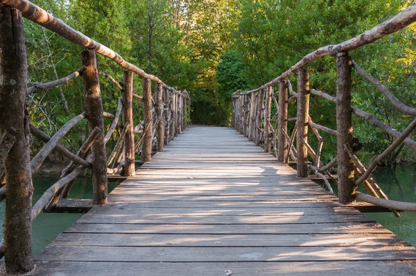 Ponte de madeira em um parque — Fotografia de Stock