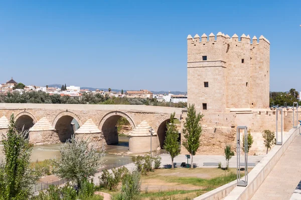 A spanyol Cordoba Calahorra torony — Stock Fotó