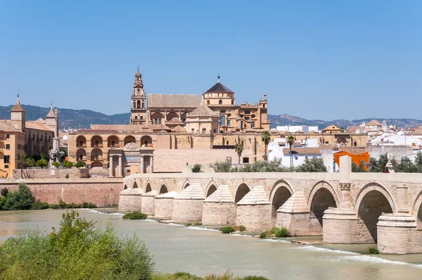 De grote moskee van Cordoba in Spanje — Stockfoto