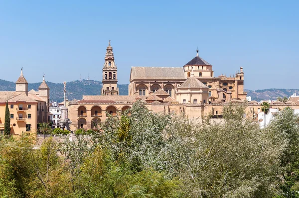 De grote moskee van cordoba — Stockfoto