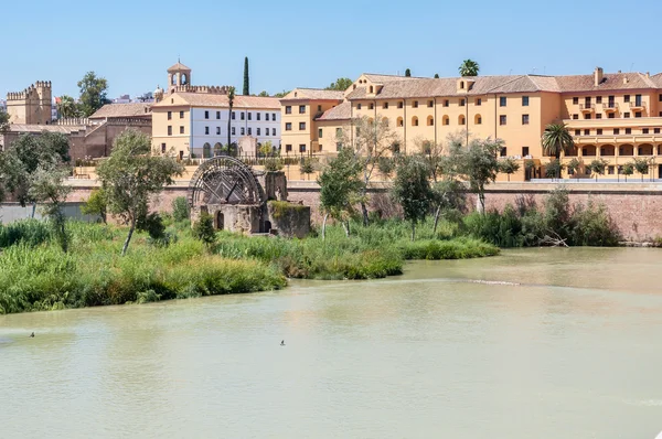 Antiguo molino de agua en Córdoba — Foto de Stock