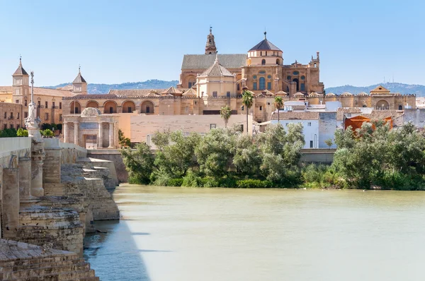 De grote moskee van Cordoba in Spanje — Stockfoto