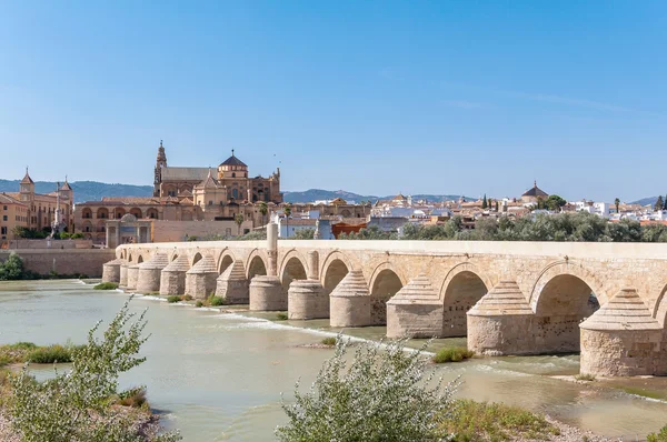 De grote moskee van Cordoba in Spanje — Stockfoto