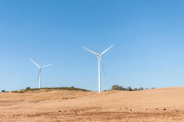 Moinhos de vento para produção de energia elétrica — Fotografia de Stock