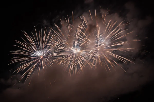 Fogos de artifício no céu noturno — Fotografia de Stock