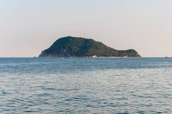 Szervez Marathonisi városába teknős-sziget, Zakynthos, Görögország — Stock Fotó