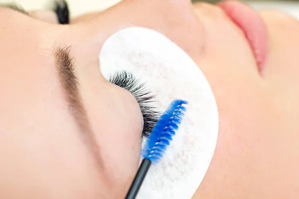 Eyelash extension procedure. Beautiful woman with long eyelashes in a beauty salon. Eyelashes close up. brush in the hands