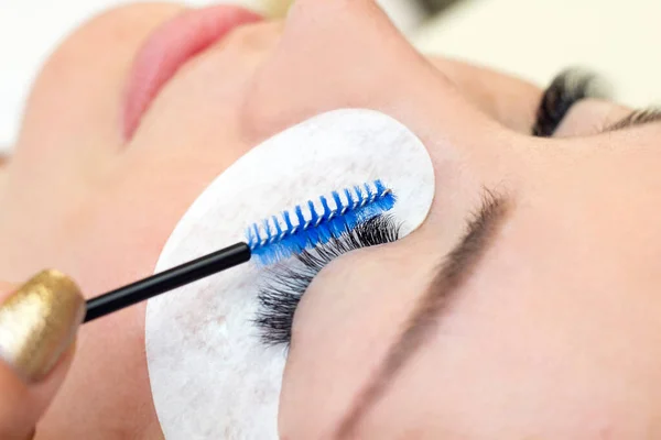 Eyelash extension procedure. Beautiful woman with long eyelashes in a beauty salon. Eyelashes close up. brush in the hands