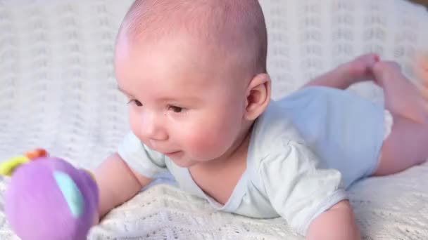 Bebê Está Sua Barriga Sorri Olha Para Chocalho Brinquedo Colorido — Vídeo de Stock