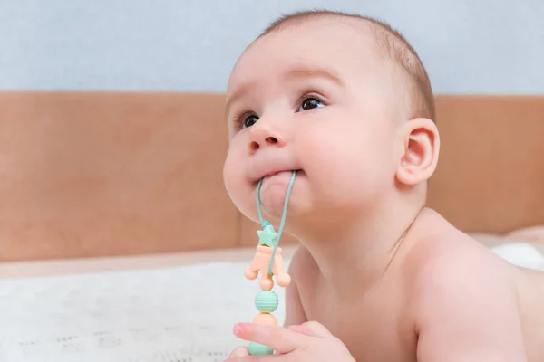 Denti Latte Delle Bambine Stanno Eruttando Gengive Prudono Bambino Giocattolo — Foto Stock