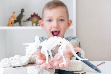 Çocuğun dinozor iskeleti var. Çocuk dinozorların kazısıyla meşgul. Çocuklarla eğitici bir oyun. azim ve iyi motor becerilerin gelişimi. Mutlu çocuk.