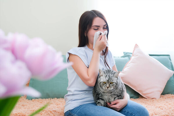 young woman is sneezing from fur allergy on the sofa and playing with her cat.