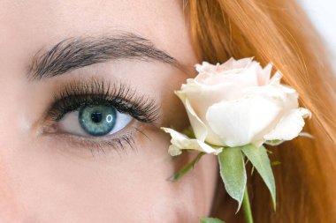 Kirpik uzantısı. uzun kirpikli güzel bir göz ve bir gül.