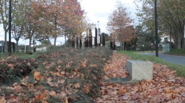 Sonbahardan dolayı kurumuş yapraklarla dolu bir park.