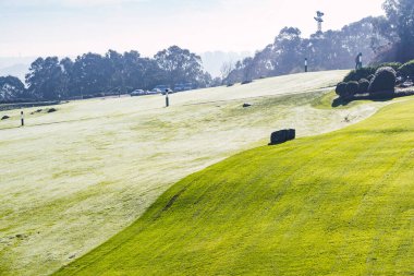 Taze kesilmiş yeşil çayır, sabah çiğ taneleri güneşi yansıtıyor.