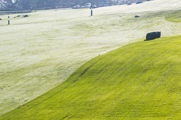 Freshly Cut Green Grass Meadow Morning Dew Reflecting Sun — Stock Photo, Image